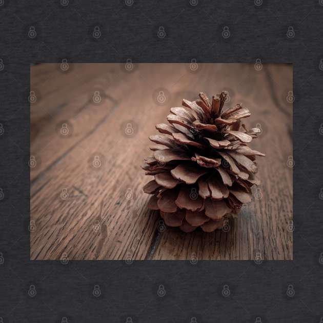 Pine Cone by Luigi Veggetti